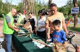 陽(yáng)江市林業(yè)局舉辦森林徒步游園會(huì)